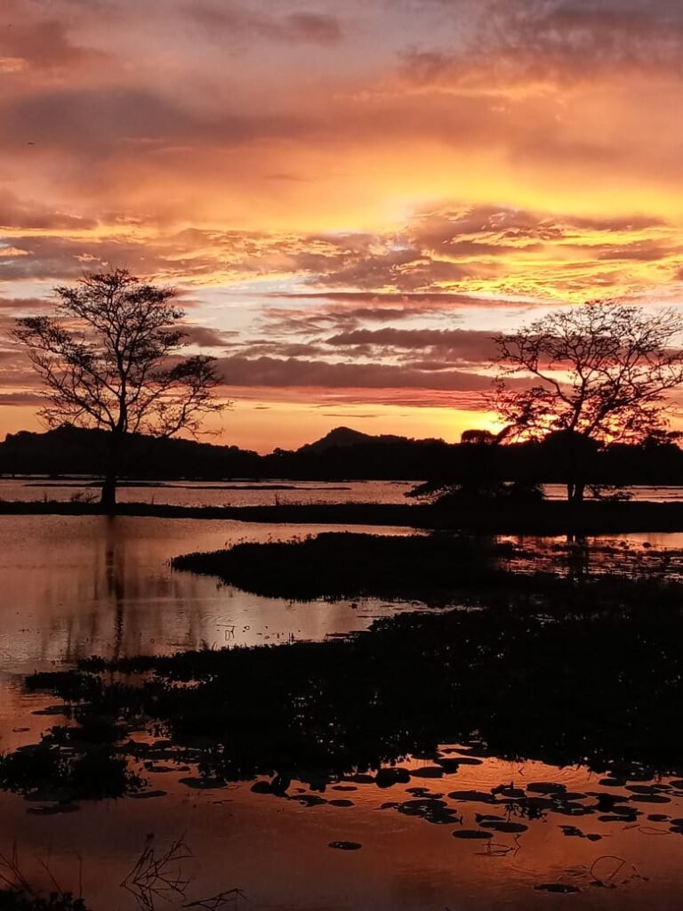 Sunset over a lagoon near Kataragama, Sri Lanka