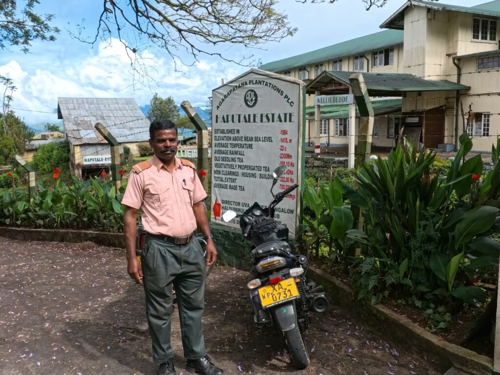Haputale Estate, Kelliebedde Processing Center. Entrance to Haputale Estate and Kelliebedde tea processing centre, Sri Lanka