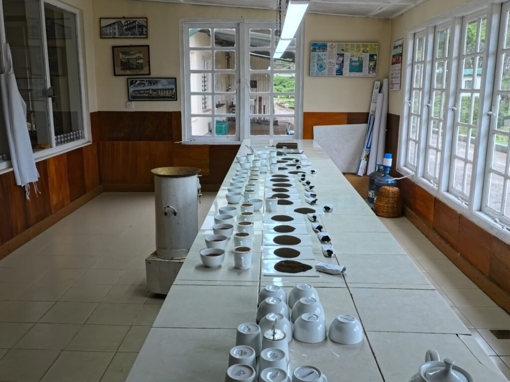 ITea tasting at Kelliebedde Processing Center. Tea samples and tasting cups at Haputale Estate in Sri Lanka